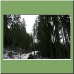 wald51.jpg